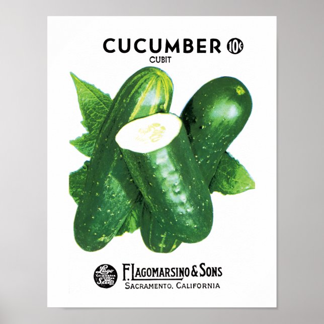 Gurken-Samenpackungsetikett Poster (Vorne)
