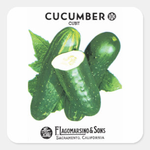 Gurken-Samenpackungsetikett Quadratischer Aufkleber