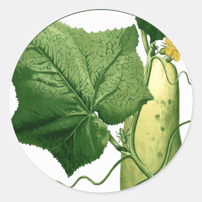 Gurkenkuppel Art Sticker 1 (Vorderseite)