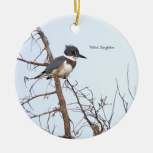 Gürtel-Eisvogel-Vogel-Ornament Keramik Ornament