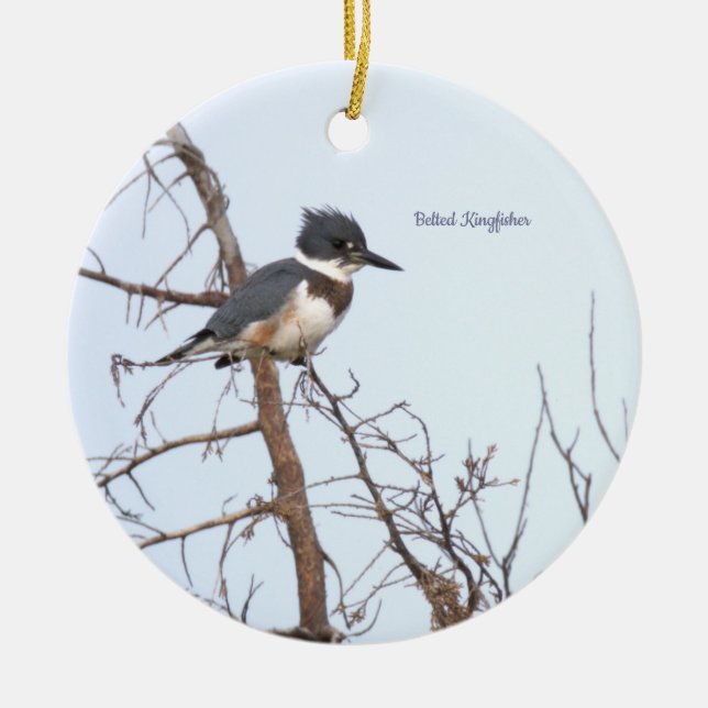 Gürtel-Eisvogel-Vogel-Ornament  Keramik Ornament (Vorne)