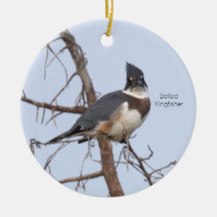 Gürtel-Eisvogel-Vogelornament Keramik Ornament