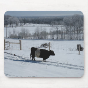 Gürtel-Galloway-Kuh in einer schneebedeckten Lands Mousepad