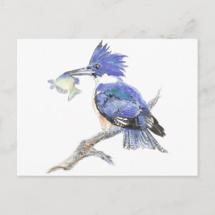 Gürteltier, Vogel, Natur, Wildtiere, Postkarte