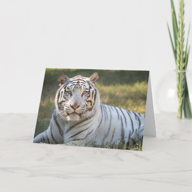 Gus - Karte - individueller Gruß (Vorderseite)