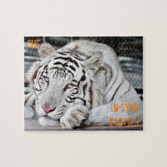 Gus - puzzle (Horizontal)