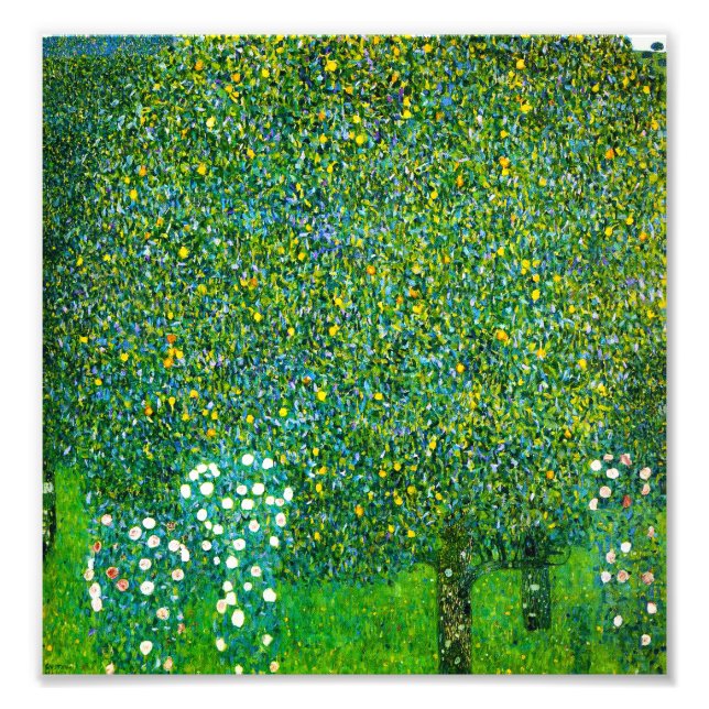 Gustav Klimt Rose unter der Birne Fotodruck (Vorne)