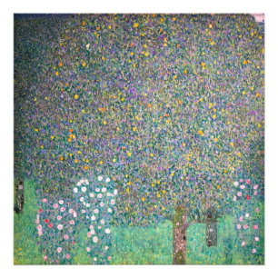 Gustav Klimt - Rosenbüsche unter den Bäumen Fotodruck