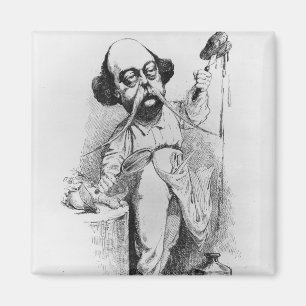 Gustave Flaubert Dissecting Madame Bovary Magnet