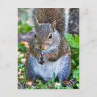 Gut für den letzten Biss