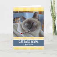 Gut machen für Sohn, Katzenkatze im Korb