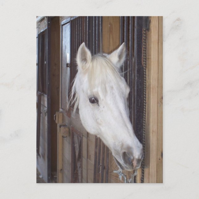 gut postkarte (Vorderseite)