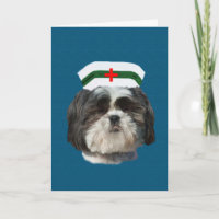 Gut, Shih Tzu Dog