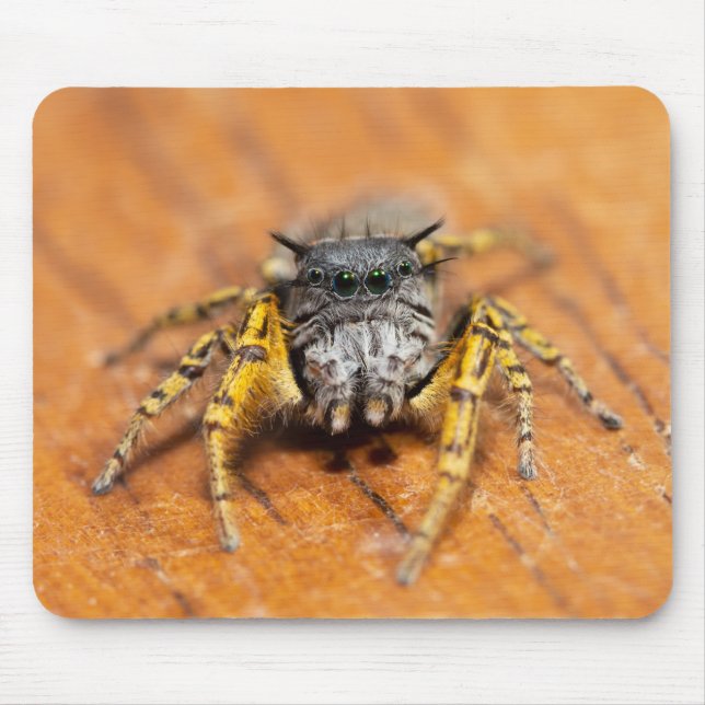 Gutaussehender Springer schaut dich an! Mousepad (Vorne)