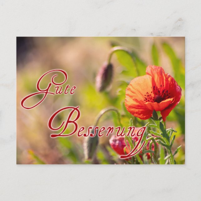 Gute Besserung für lieben Menschen! Postkarte (Vorderseite)