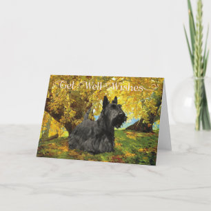 Gute Besserung für Scottish Terrier Karte