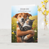 Gute Besserung Heilende Umarmungen Süße Katze und