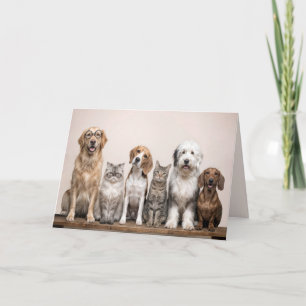 Gute Besserung Hunde und Katzen Karte