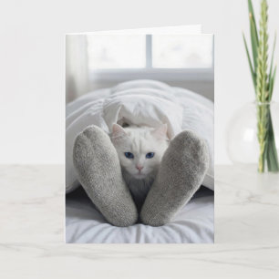 Gute Besserung Katze unter einer Decke Karte