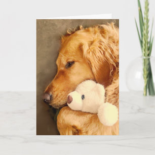Gute Besserung Süßer Trauriger Golden Retriever Hu Karte