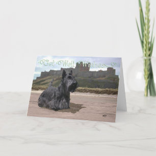 Gute Besserung Wünsche für Scottish Terrier Karte