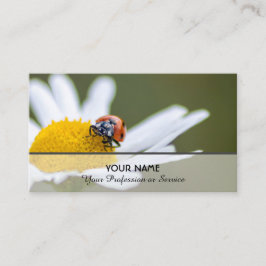 Gute glückliche Ladybugs für gesundes Wohlbefinden Visitenkarte