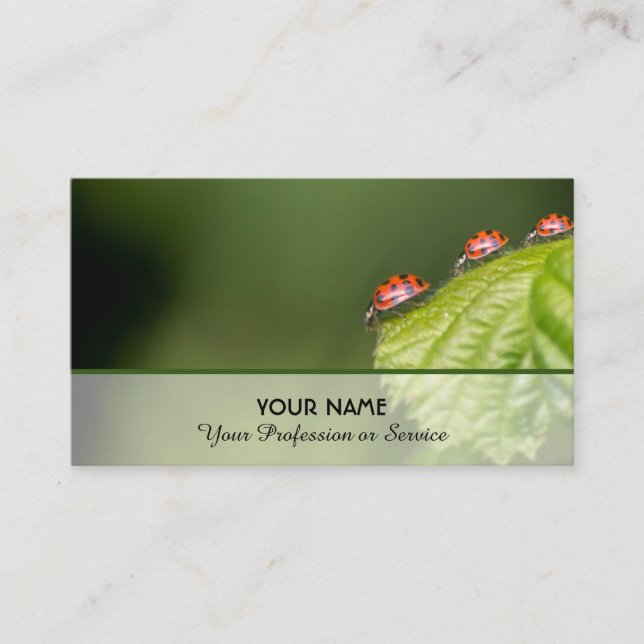 Gute glückliche Ladybugs für gesundes Wohlbefinden Visitenkarte (Vorderseite)