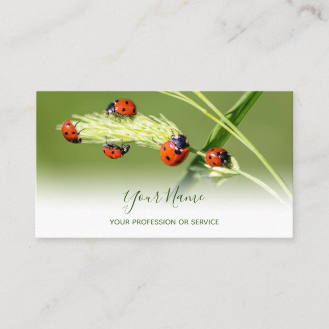 Gute glückliche Ladybugs für gesundes Wohlbefinden Visitenkarte (Vorderseite)