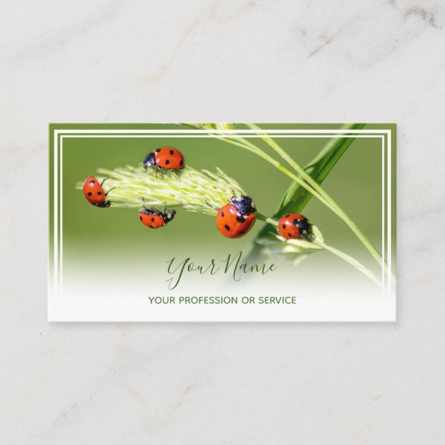 Gute glückliche Ladybugs für gesundes Wohlbefinden Visitenkarte (Vorderseite)