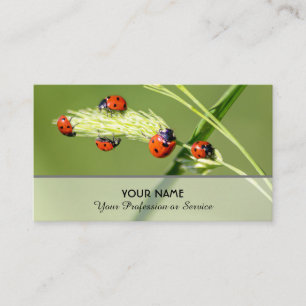 Gute glückliche Ladybugs für gesundes Wohlbefinden Visitenkarte