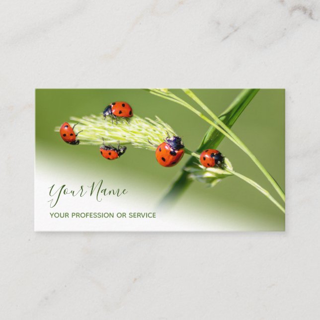 Gute glückliche Ladybugs für gesundes Wohlbefinden Visitenkarte (Vorderseite)