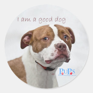 Gute-Hunde-Pitbull-Rettung Runder Aufkleber