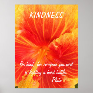 Güte-Inspirational Plakat-Zitat-Plato-Hibiskus Poster