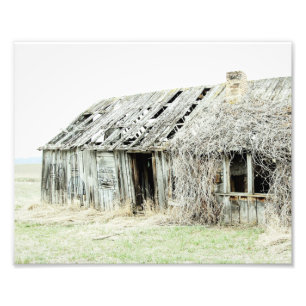 Gute Knochen Ländlicher Farmhouse-Stil Scheune Fotodruck