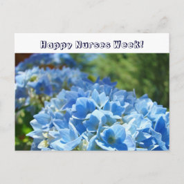 Gute Krankenwoche! Postkarten Blue Hydrangeas
