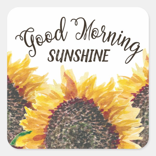 Gute Morgensonne Gelbbraun Sonnenblumen Quadratischer Aufkleber (Vorderseite)