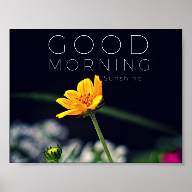Gute Morgensonne Poster Print (Vorne)