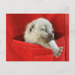 Gute Morgenwelt Postkarte