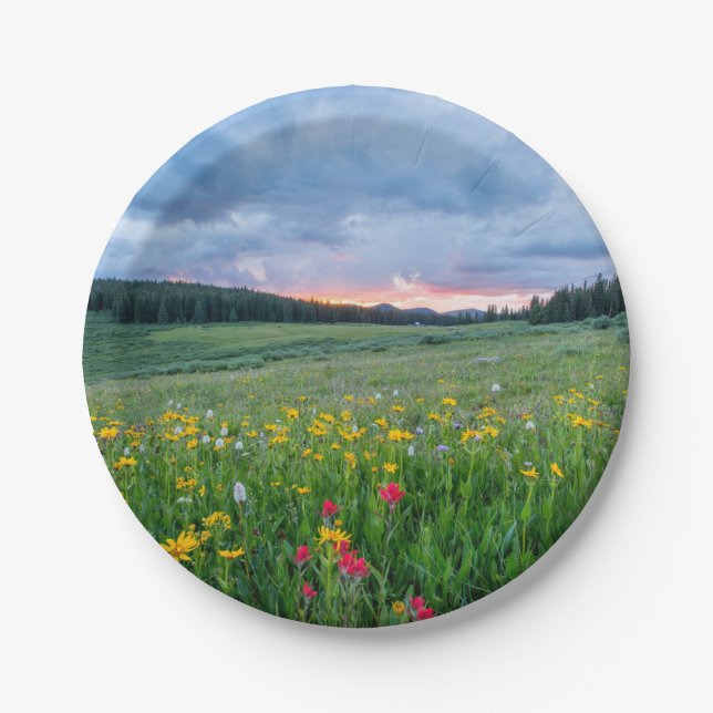 Gute Morgenwiese, Pappteller (Vorderseite)