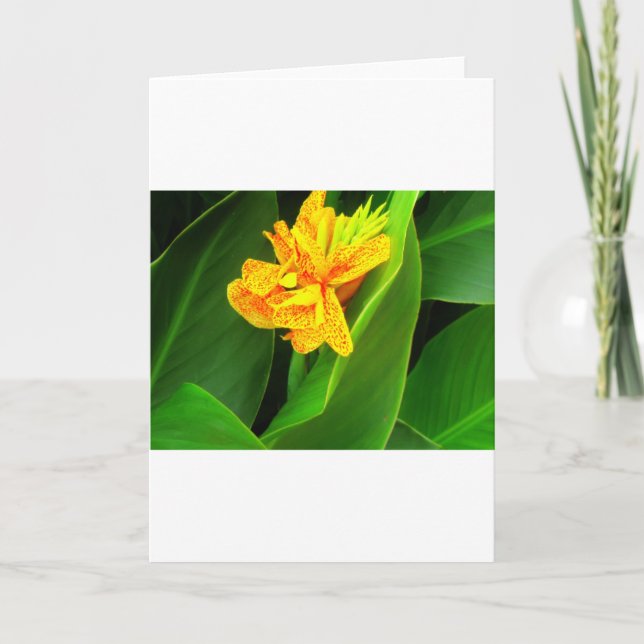 Gute Nacht! Karte (Vorderseite)