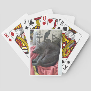 Gute Nacht Madame Classic Spielkarten