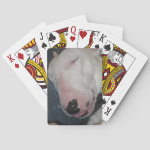 Gute Nacht, schlafen fester, alberner Hund Spielkarten
