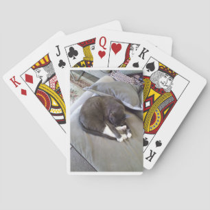 Gute Nacht Sir Spielkarten