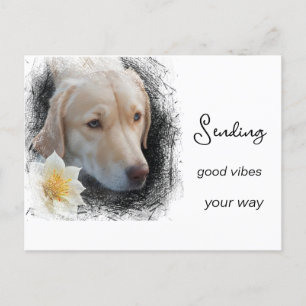 *~ Gute Schwingungen Trauriges Gold Hund Blume AP6 Postkarte