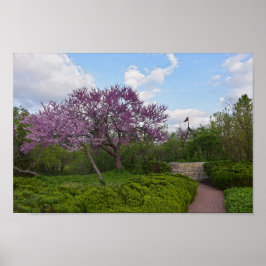 Gute und rote Bud-Bäume Poster