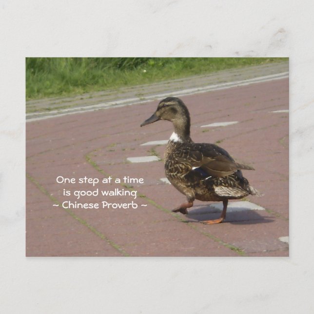 Gute Wanderung Postkarte (Vorderseite)