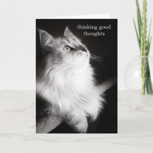 Gute Wünsche für die Cat Lovers Card Karte