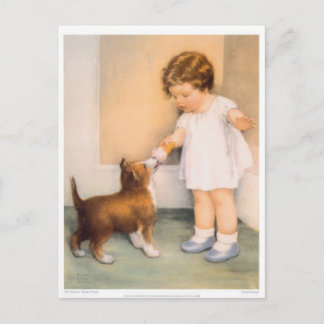 Guten Jungen! Border Collie Postcard Postkarte