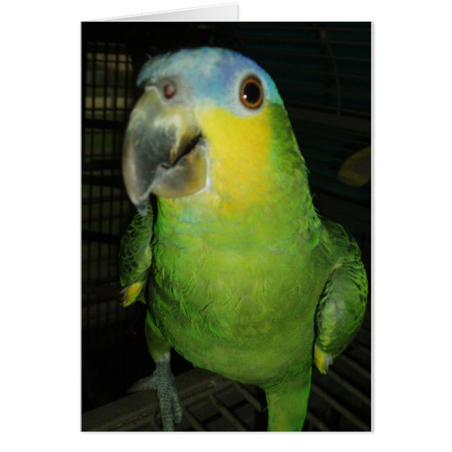 Guten Morgen! (Vorne)