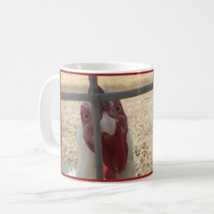 Guten Morgen Hühner Kaffeetasse